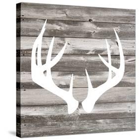 Antler Art II-Tandi Venter-Stretched Canvas