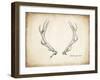 Antler Specimen A-THE Studio-Framed Giclee Print