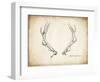 Antler Specimen A-THE Studio-Framed Giclee Print