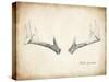 Antler Specimen B-THE Studio-Stretched Canvas