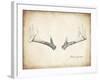 Antler Specimen B-THE Studio-Framed Giclee Print