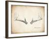 Antler Specimen B-THE Studio-Framed Giclee Print