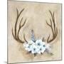 Antlers and Flowers-Marilyn Dunlap-Mounted Art Print