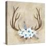 Antlers and Flowers-Marilyn Dunlap-Stretched Canvas