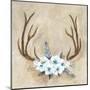 Antlers and Flowers-Marilyn Dunlap-Mounted Art Print