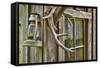 Antlers and Lantern Hanging on Rustic Home, Stehekin, Washington, USA-Jaynes Gallery-Framed Stretched Canvas