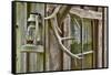 Antlers and Lantern Hanging on Rustic Home, Stehekin, Washington, USA-Jaynes Gallery-Framed Stretched Canvas