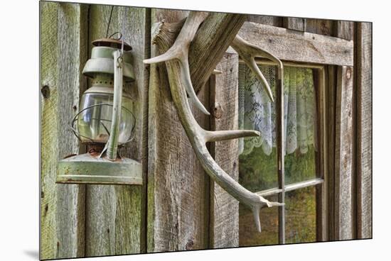 Antlers And Lantern-Donald Paulson-Mounted Giclee Print