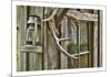 Antlers And Lantern-Donald Paulson-Mounted Giclee Print