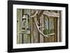 Antlers And Lantern-Donald Paulson-Framed Giclee Print