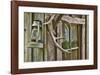 Antlers And Lantern-Donald Paulson-Framed Giclee Print