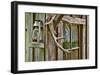 Antlers And Lantern-Donald Paulson-Framed Giclee Print