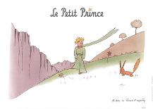 Petit Prince et les Oiseaux Sauvages-Antoine de Saint Exupery-Art Print