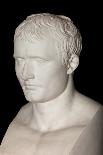 Bust of Emperor Napoleon I-Antoine Denis Chaudet-Stretched Canvas
