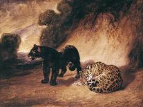 Leopard and Serpent, 1810–75-Antoine Louis Barye-Stretched Canvas