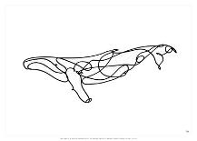 Humpback Whale-Antoine Tesquier Tedeschi-Art Print