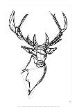 Royal Stag Deer-Antoine Tesquier Tedeschi-Art Print