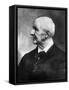 Anton Bruckner (1824-1896)-null-Framed Stretched Canvas