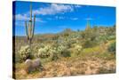 Stretched Canvas