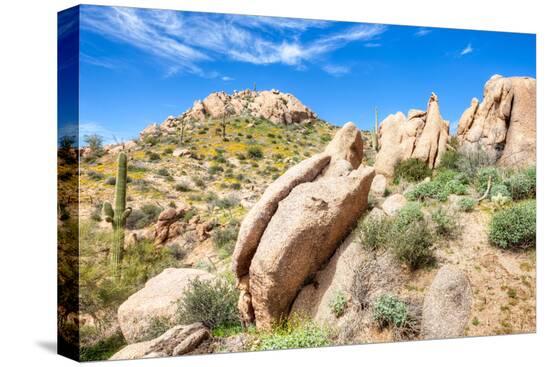 Stretched Canvas Print, , large