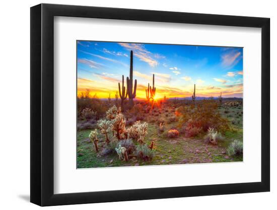 Premium Photographic Print, , large