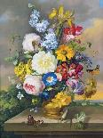 Floral Still-Life-Anton Hartinger-Mounted Giclee Print