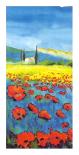 Poppies Forever III-Anton Knorpel-Laminated Art Print