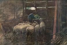 Sheep Flock-Anton Mauve-Giclee Print