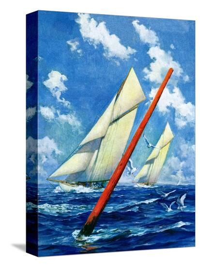 Stretched Canvas Print, , large