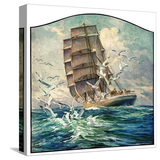 Stretched Canvas Print, , large