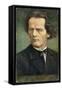 Anton Rubinstein Russian Musician-Eichhorn-Framed Stretched Canvas