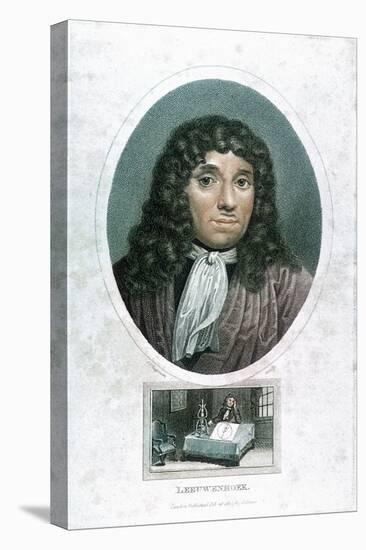 Anton Van Leeuwenhoek (1632-172), Dutch Microscopist, C1810-John Chapman-Stretched Canvas