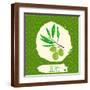 Brown Frame
