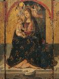 The Virgin Annunciate-Antonello da Messina-Giclee Print