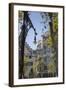 Antoni Gaudi's Casa Batllo building, UNESCO World Heritage Site, Barcelona, Catalonia, Spain-Frank Fell-Framed Photographic Print