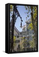 Antoni Gaudi's Casa Batllo building, UNESCO World Heritage Site, Barcelona, Catalonia, Spain-Frank Fell-Framed Stretched Canvas