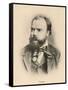 Antonin Leopold Dvorak Czech Musician-null-Framed Stretched Canvas