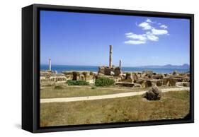 Antonine Baths, Carthage, Tunisia-Vivienne Sharp-Framed Stretched Canvas