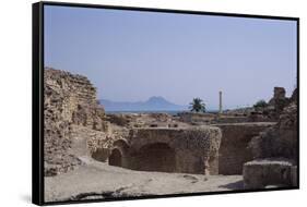 Antonine Baths, Carthage, Unesco World Heritage Site, Tunisia, North Africa, Africa-Nelly Boyd-Framed Stretched Canvas