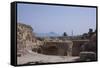 Antonine Baths, Carthage, Unesco World Heritage Site, Tunisia, North Africa, Africa-Nelly Boyd-Framed Stretched Canvas