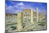 Antonine Gate and Ruined Pillars, Sbeitla, Tunisia-Vivienne Sharp-Mounted Premium Photographic Print