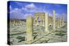 Antonine Gate and Ruined Pillars, Sbeitla, Tunisia-Vivienne Sharp-Stretched Canvas