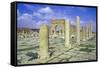 Antonine Gate and Ruined Pillars, Sbeitla, Tunisia-Vivienne Sharp-Framed Stretched Canvas