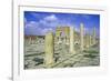 Antonine Gate and Ruined Pillars, Sbeitla, Tunisia-Vivienne Sharp-Framed Photographic Print