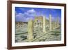 Antonine Gate and Ruined Pillars, Sbeitla, Tunisia-Vivienne Sharp-Framed Photographic Print