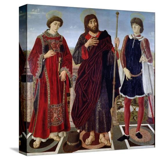 Stretched Canvas Print, , large