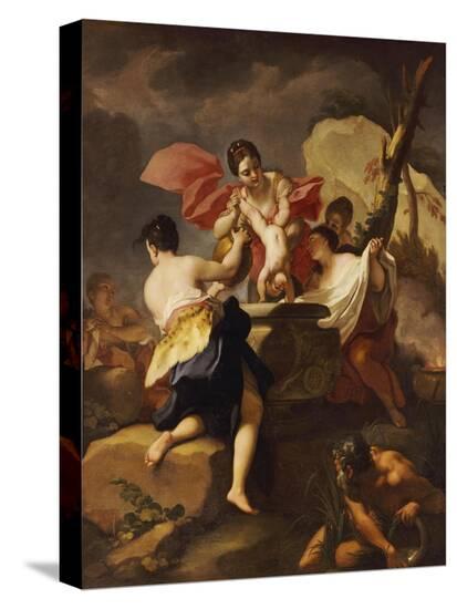 Stretched Canvas Print, , large