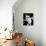 Antonio Banderas - Desperado-null-Mounted Photo displayed on a wall