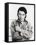 Antonio Banderas-null-Framed Stretched Canvas