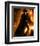 Antonio Banderas-null-Framed Photo